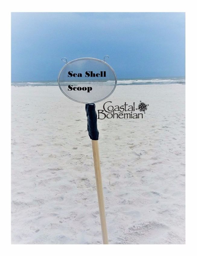 sea shell scooper upper