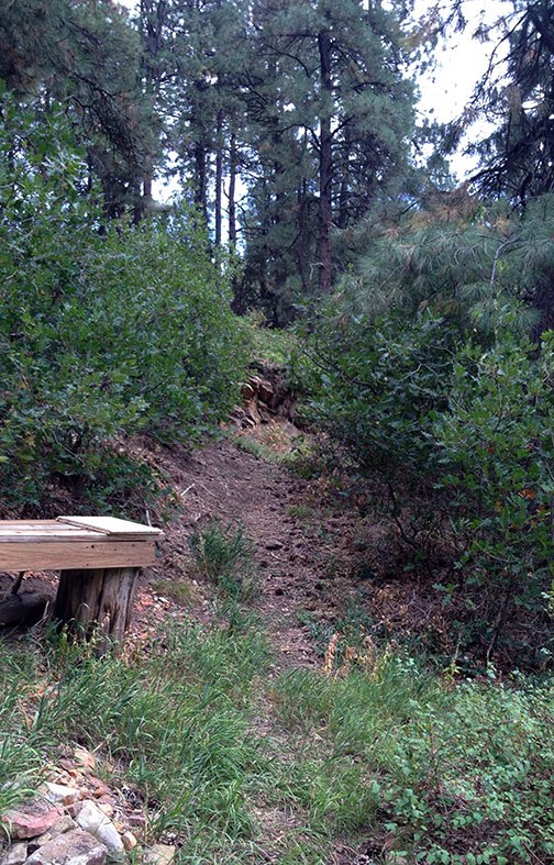 early fall garden opening vista carving pathways terracing slopes, Third pathway up and around oaks pines