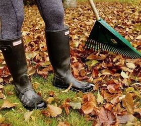 Cómo compostar las hojas de otoño