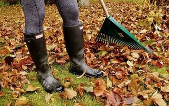  Como compostar folhas de outono