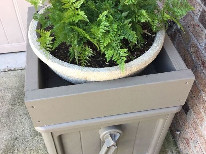 q will a rabbit s foot fern live inside when the weather turn cold