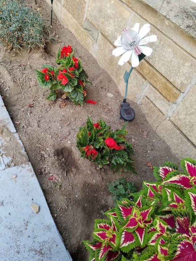 q how do i keep my cats from using my flower beds as litter boxes
