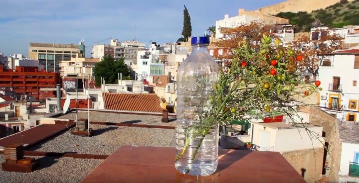 making a vertical wall from plastic bottles