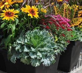 pretty fall containers