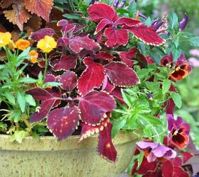 pretty fall containers