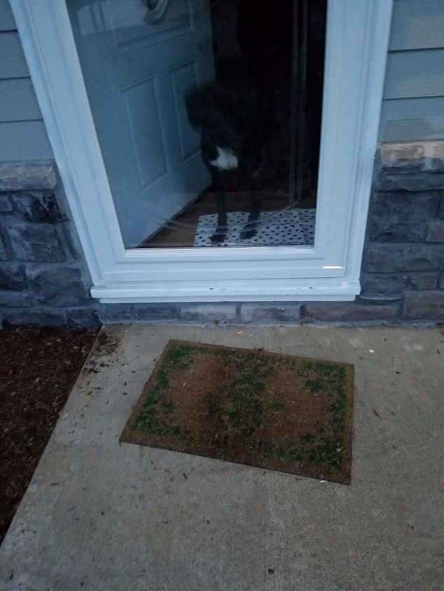 Half Step At My Front Door, How To Make Patio Door Steps