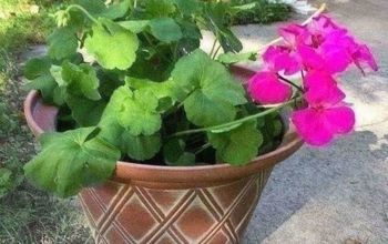 How to Keep Large Plant Pots Light Enough to Move Around