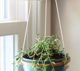 diy hanging succulent planter