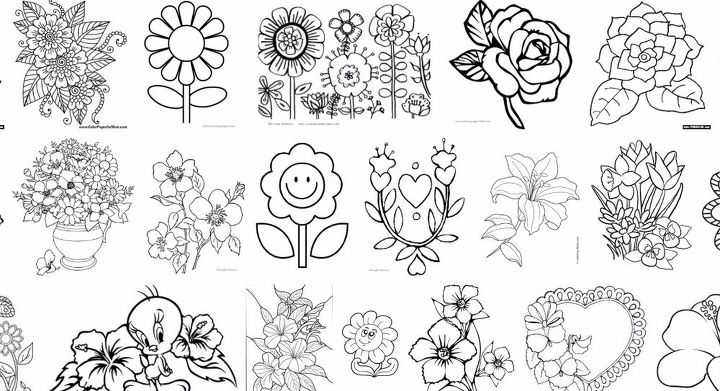 3 refreshing ways to control the see through in your window, Step 2 Print some flowers coloring papers
