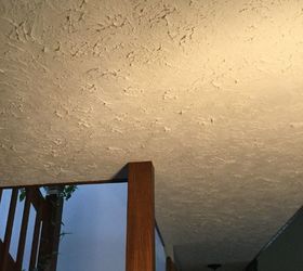 Mop ceiling deals texture