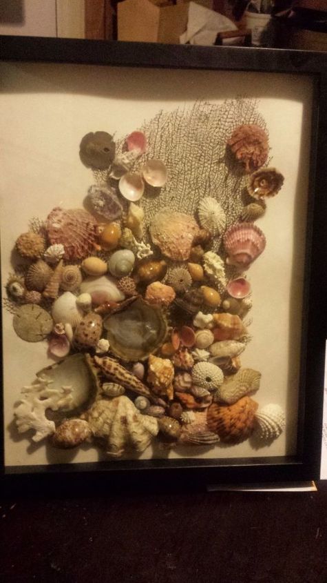 pieza de arte simple de conchas marinas