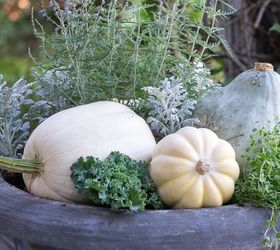 ideia de jardim de outono com legumes e ervas