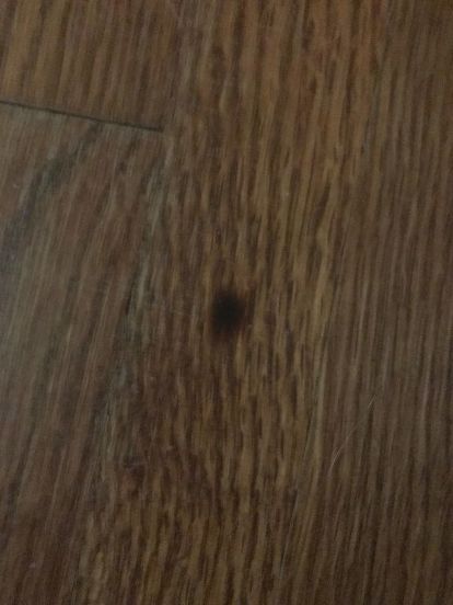 Repair Burn Marks In Hard Wood Floors, How To Fix Burnt Vinyl Floor