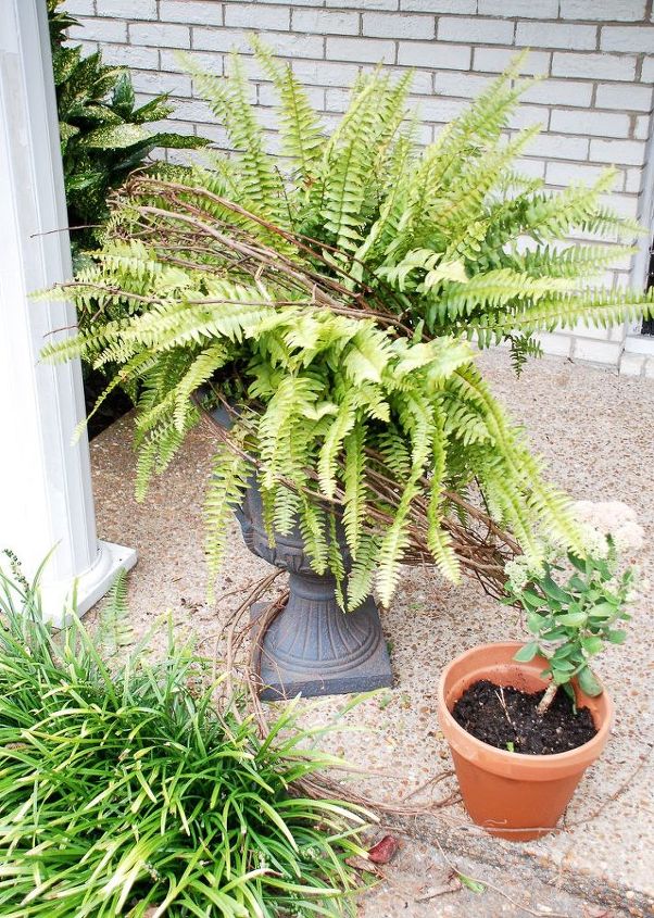 transform summer ferns into festive fall planters