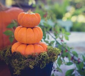 simple mini pumpkin topiary