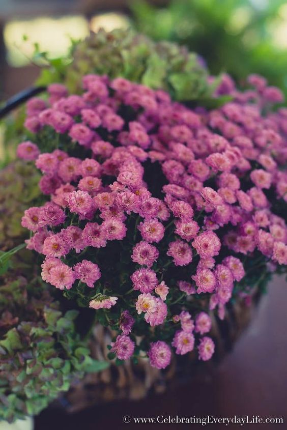 arreglo floral otoal fcil de color prpura
