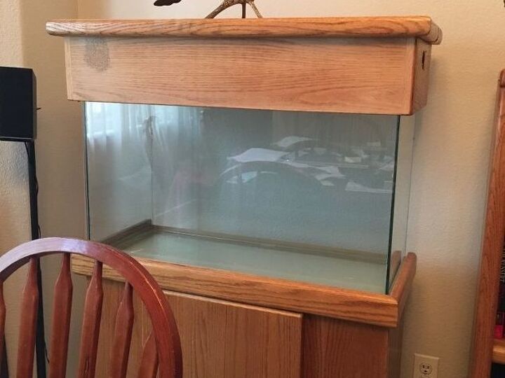 q ways to decorate aquarium