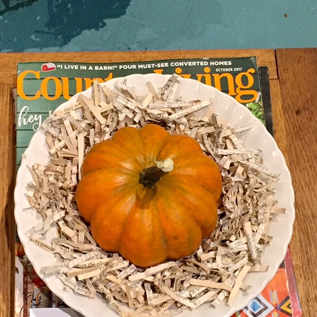 easy fall pumpkin home decor diy
