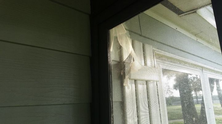 como posso manter os esquilos longe da tela da minha varanda de trs