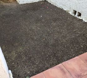 q any ideas how to surface patio area next to saltillo tile patio