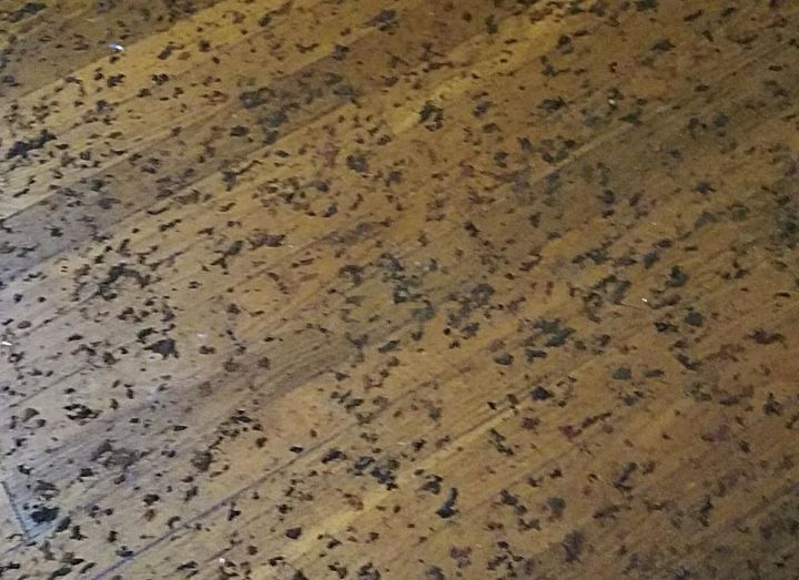 How Do You Remove Carpet Backing Stuck To Wood Floor Hometalk
