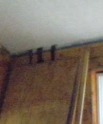 q something has left dark spots running down the walls in cabin