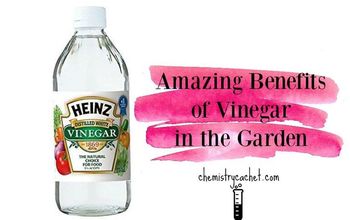  Benefícios surpreendentes do vinagre no jardim e por que ele funciona