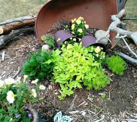 spring flowerbed project