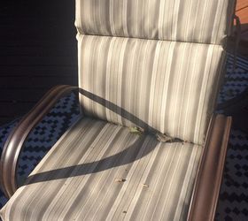 how i keep the falling leaves off my patio chair cushions, Too much yuck