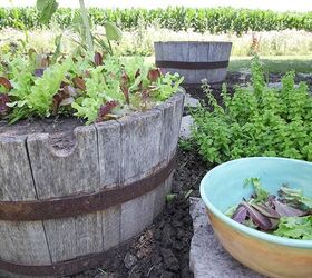 How to Rescue a Completely Overgrown, Neglected Garden