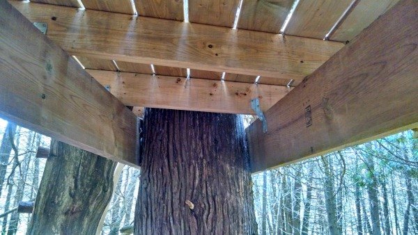 essential tips how to build a treehouse your kids will love for years