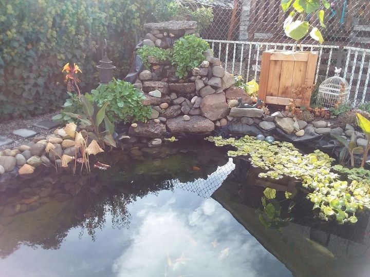 How To Make Functional Koi Pond With Waterfall Hometalk