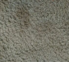q carpet stains