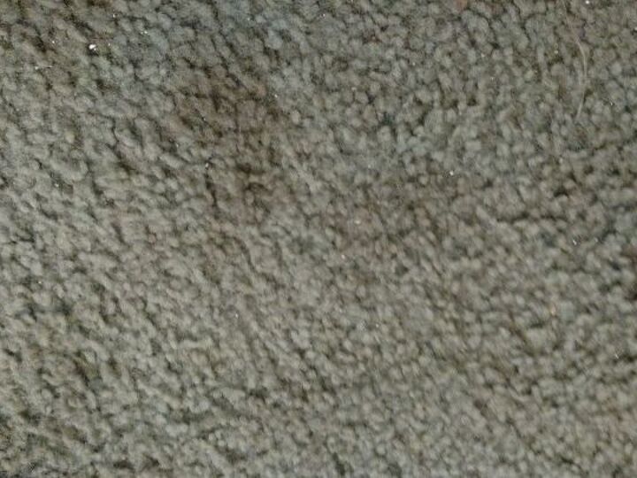 q carpet stains