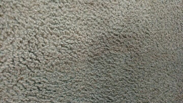 q carpet stains