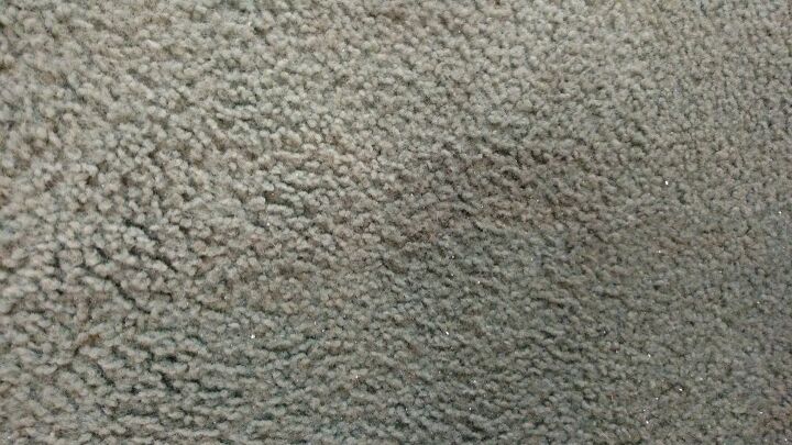 q carpet stains