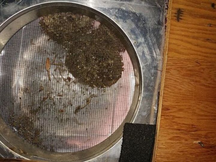 q i found something inside my attic vent what is it