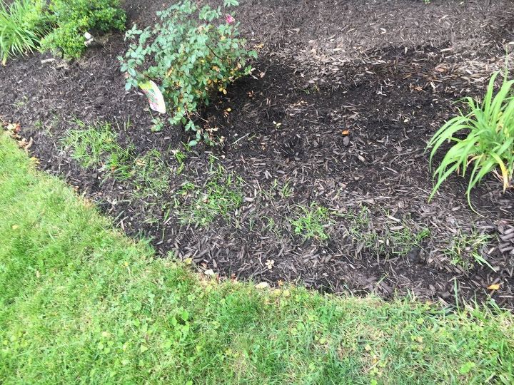do you put down a weed barrier when making a new flower bed