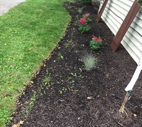 Do you put down a weed barrier when making a new flower bed ? | Hometalk