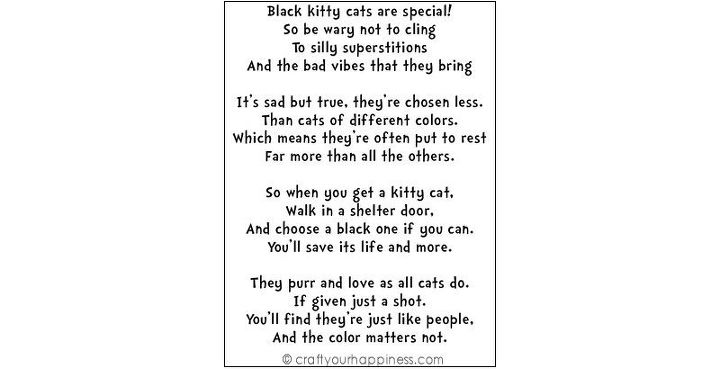 pin e poema do gato preto