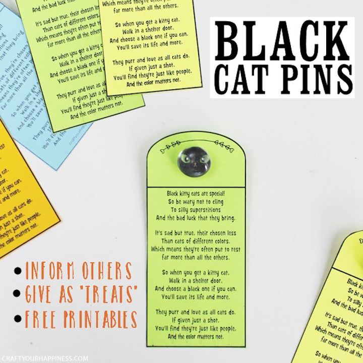 pin y poema del gato negro