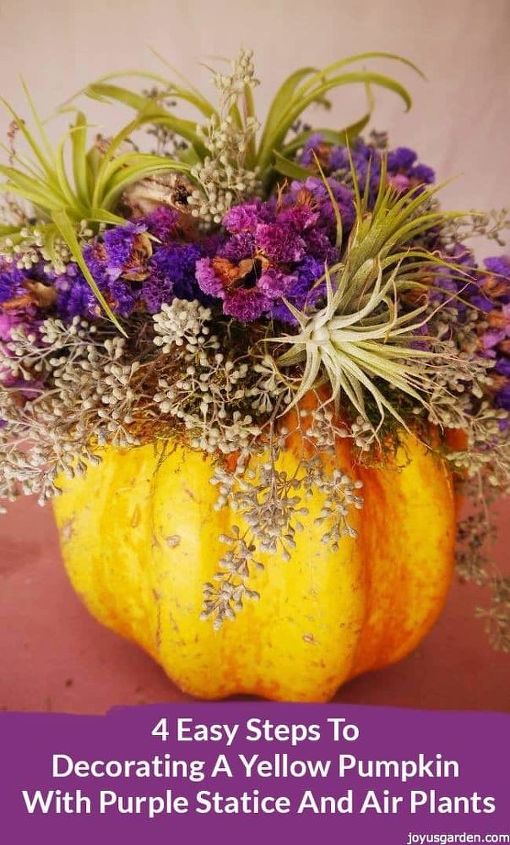 4 easy steps to decorating a yellow pumpkin with purple statice and ai