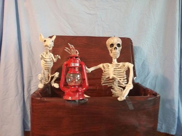exposio de esqueleto de halloween