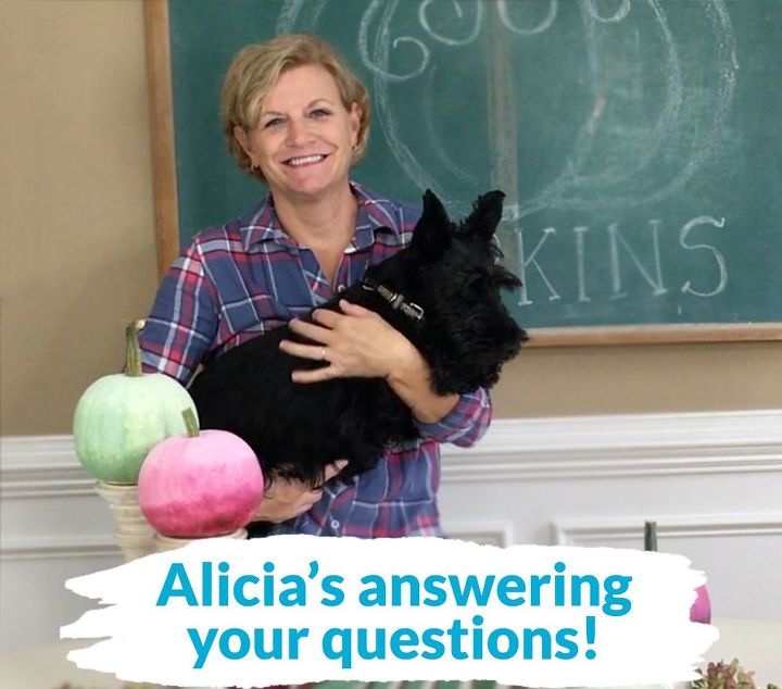 t get your question answered within 24 hours