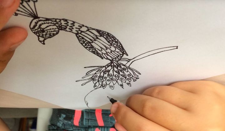 como desenhar um pavo