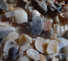 broken shells for coastal decor