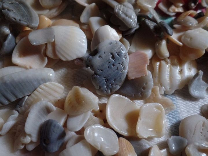 conchas quebradas para decorao costeira