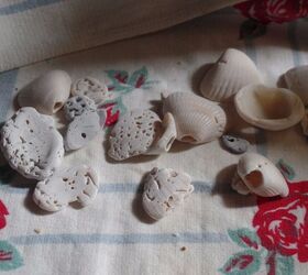 broken shells for coastal decor