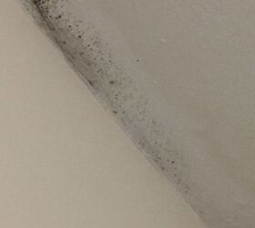 q is any body can help what it can be i saw this in my roof corner this