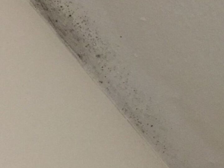 q is any body can help what it can be i saw this in my roof corner this